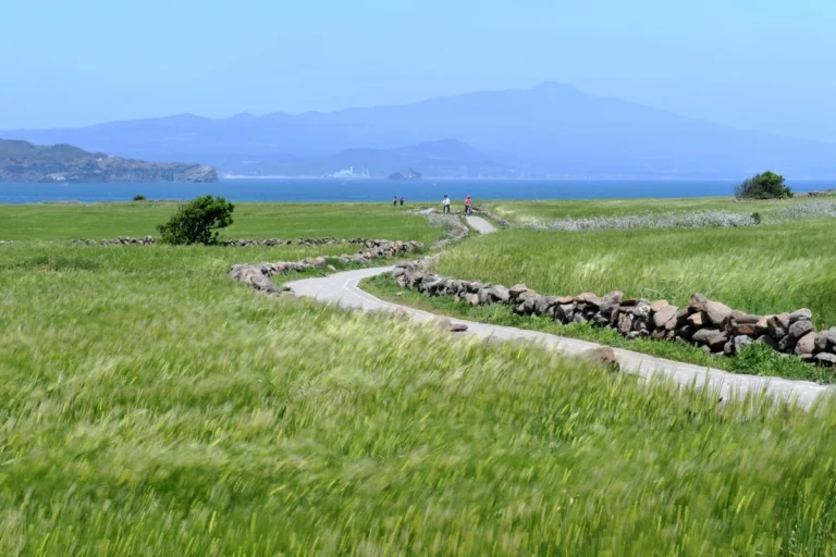 논현 봄 가볼만한곳 2026, 놓쳐선 안 될 BEST 명소 6곳