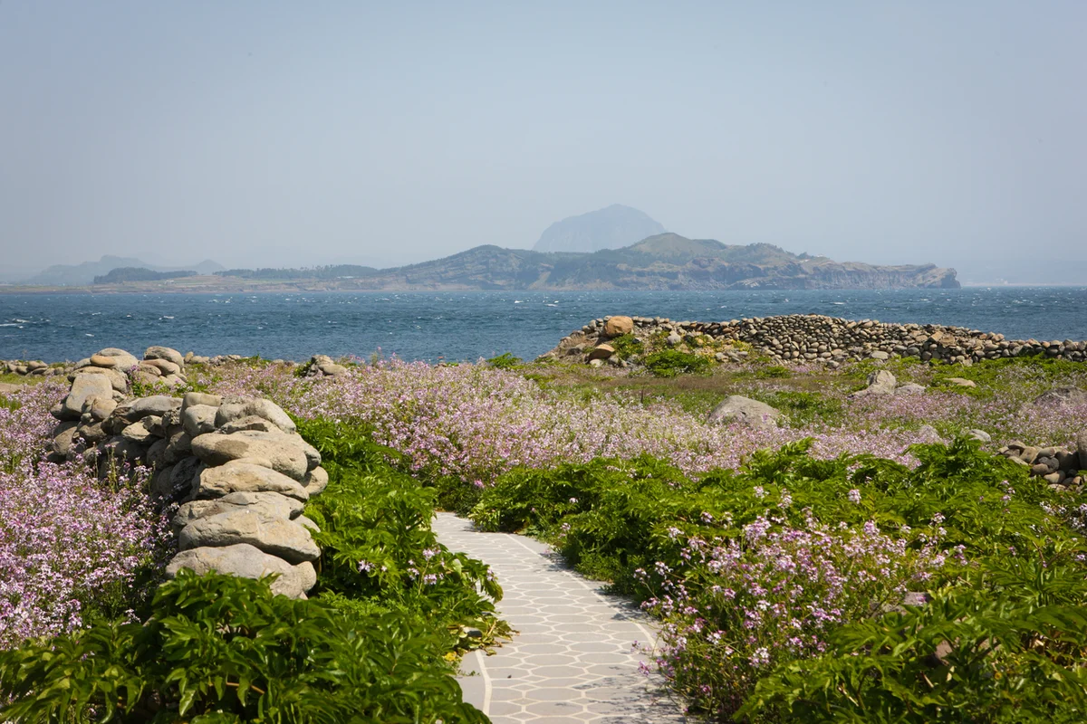 논현목련공원 - 논현여행 여행