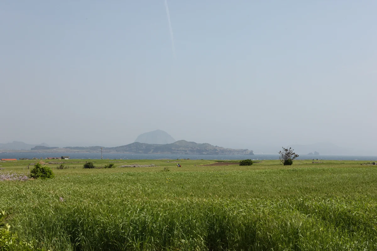 학동공원: 논현 봄 가볼만한곳으로 완벽한 도심 속 휴식처 - 논현여행 여행