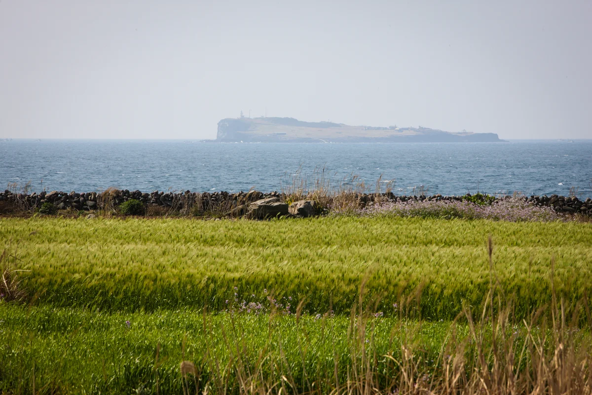 논현소나무공원 - 논현여행 여행