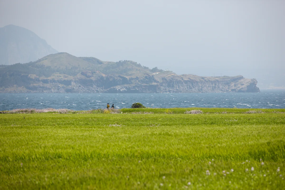 논현동가구거리 - 논현여행 여행