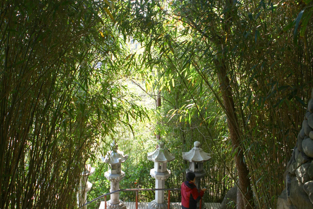 해동용궁사 - 기장군여행 여행