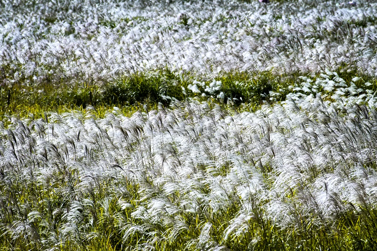 평화의공원 - 상암여행 여행