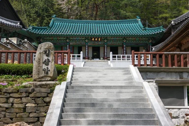 상암 유아 동반 2026년 봄, 아이와 함께하는 즐거운 나들이 추천 5곳