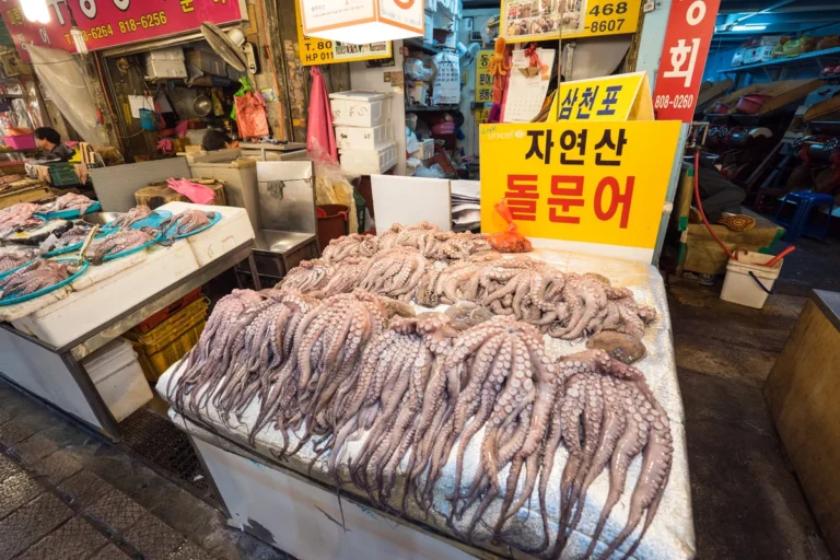 지금 떠나는 부전시장 벚꽃 명소, 2026 봄날의 감성 산책