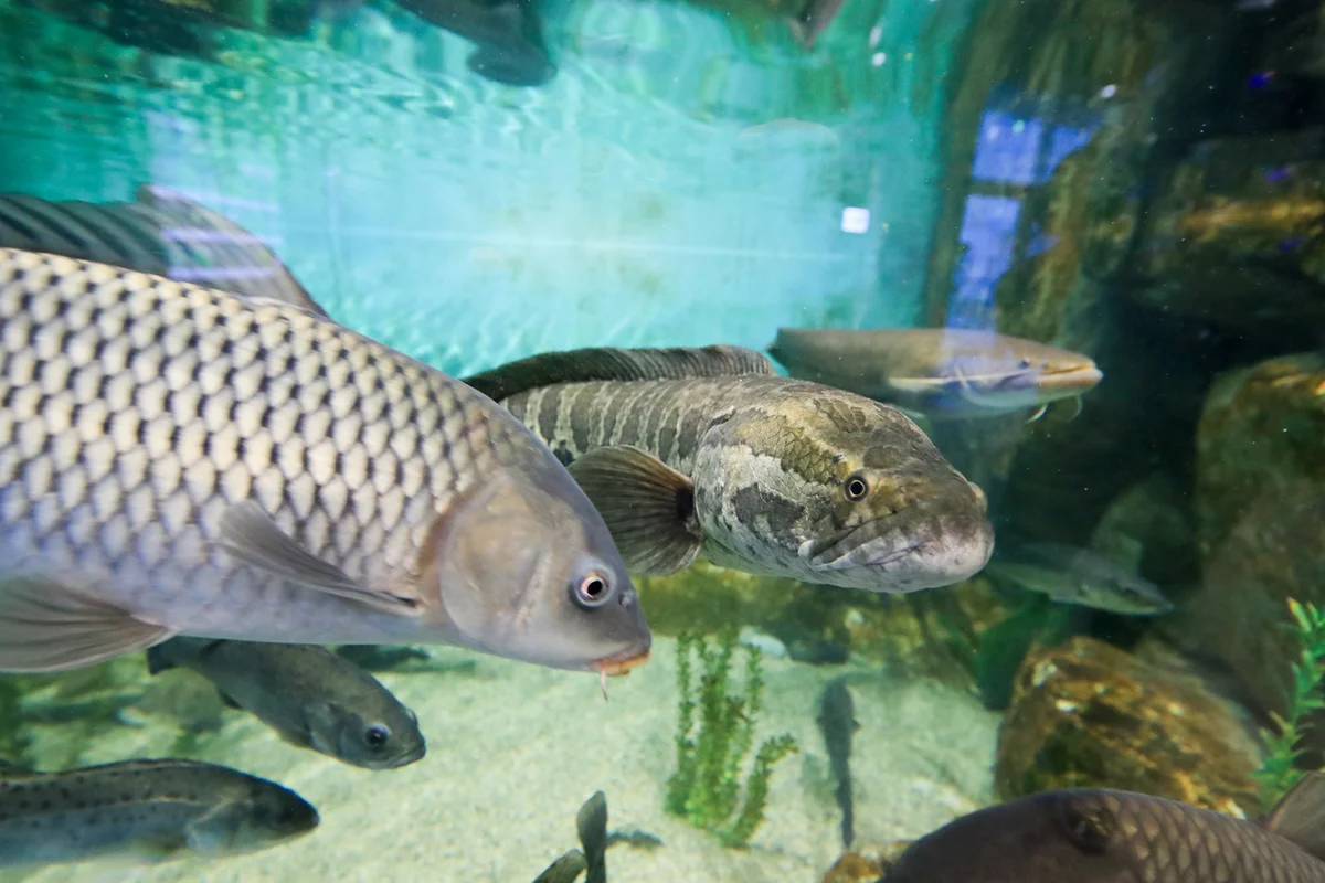 파리공원 - 목동여행 여행