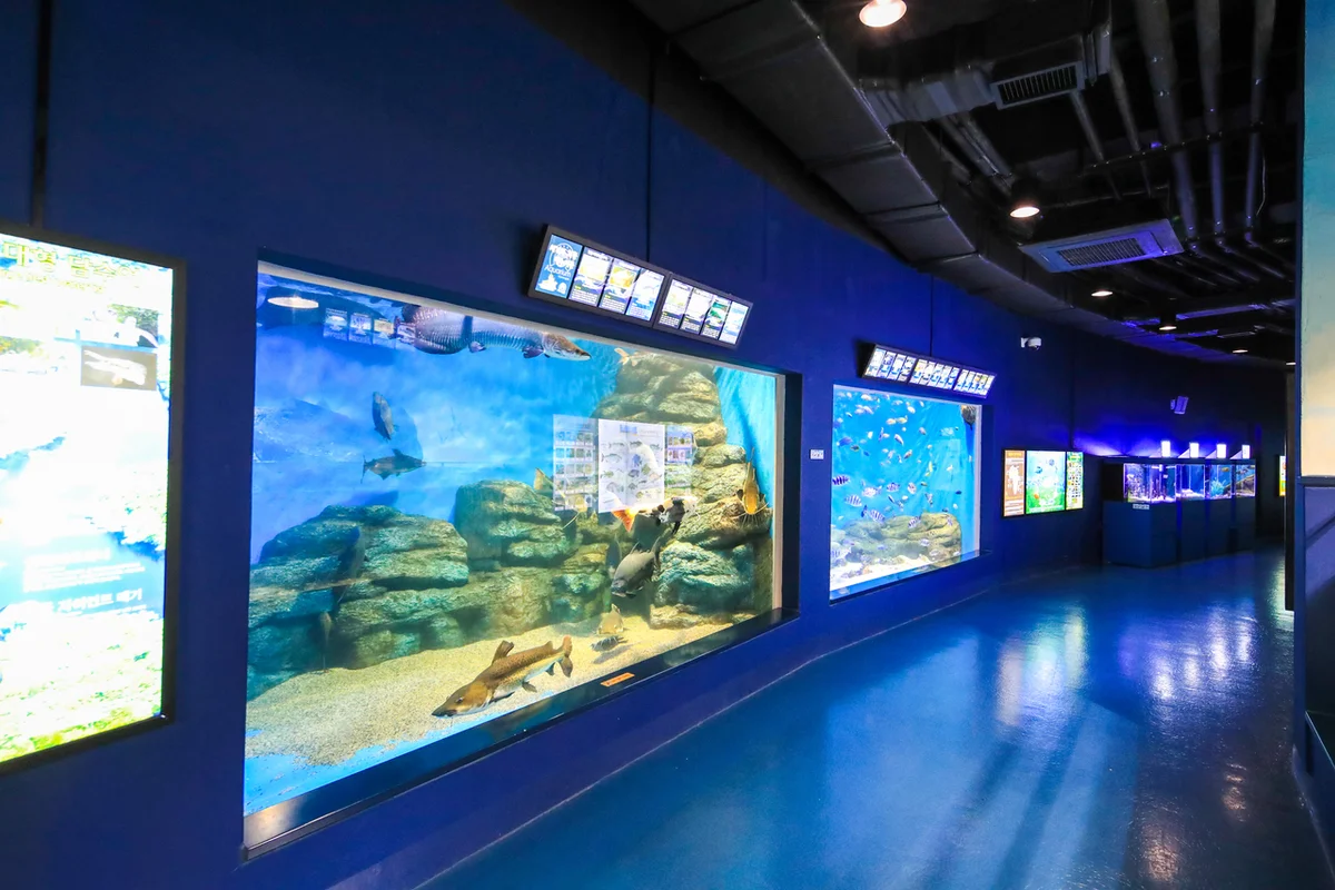 오목공원 - 목동여행 여행