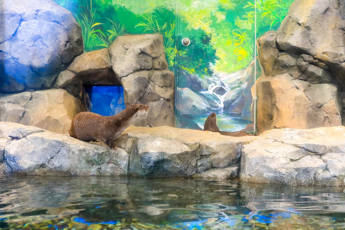 실개천생태공원 - 목동여행 여행