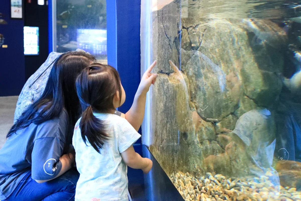 현대백화점 목동점 - 목동여행 여행