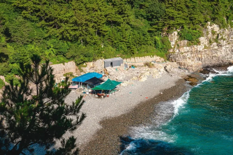 2026 영도구 부모님 모시고 특별한 추억, 봄날의 효도 여행 추천 5곳