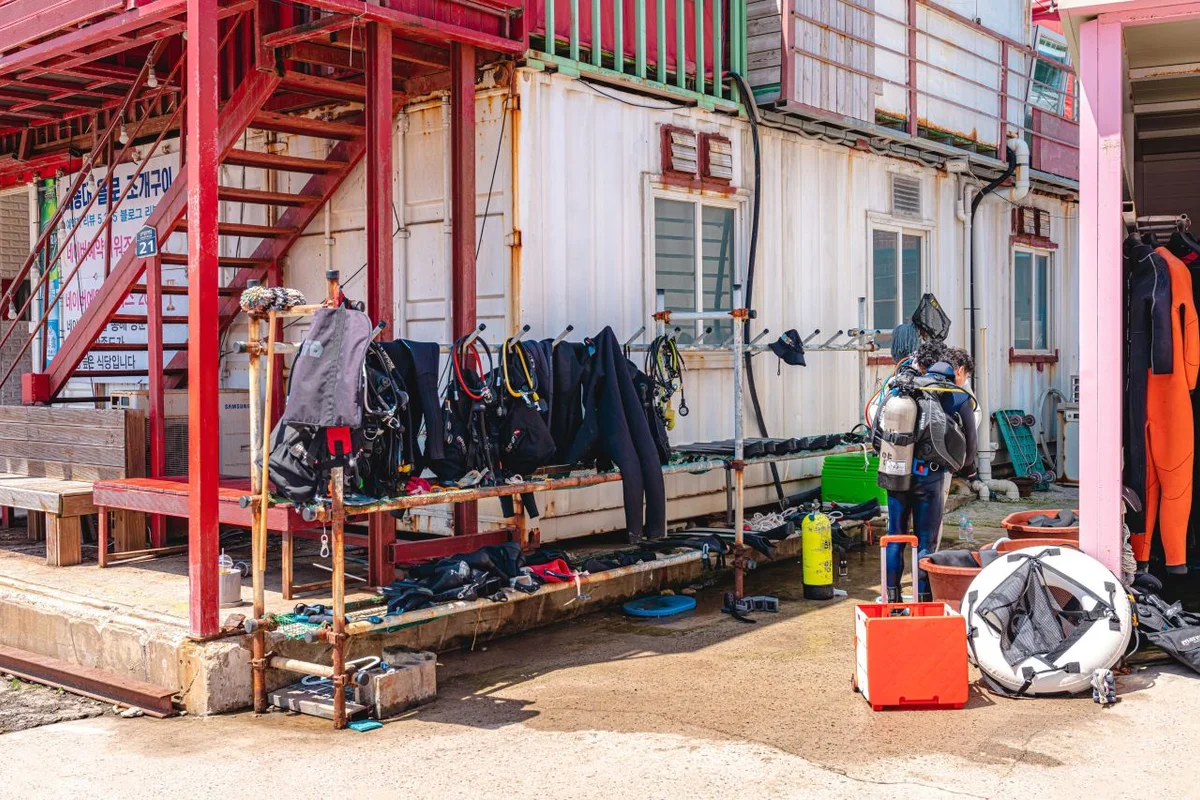 태종대 - 영도구 여행