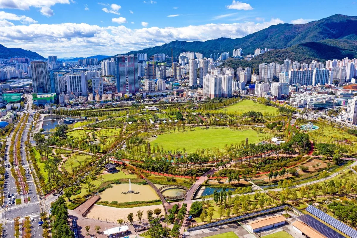 부전시장 벚꽃 명소, 부산시민공원 - 부전시장 여행