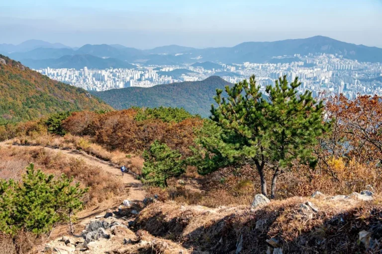 부산진구 겨울 가볼만한곳, 겨울 감성 가득한 명소 5곳 추천