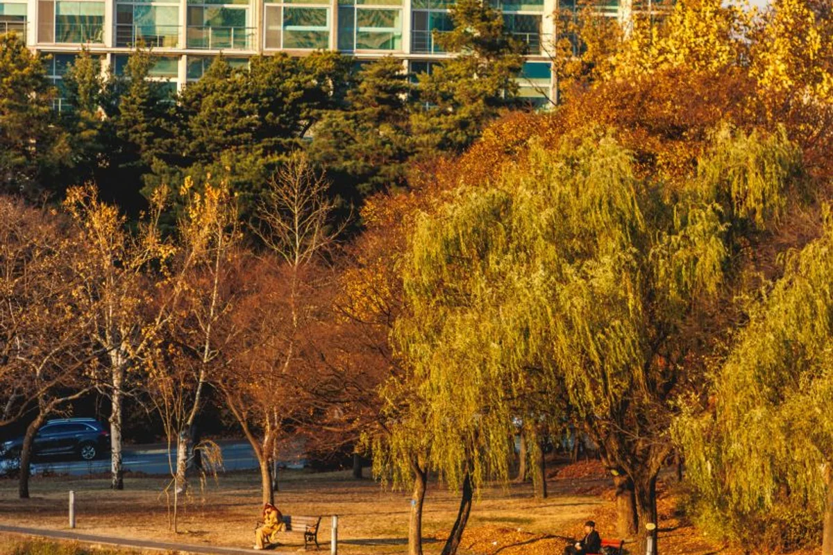 쥬라리움 금천점 - 관악구 여행