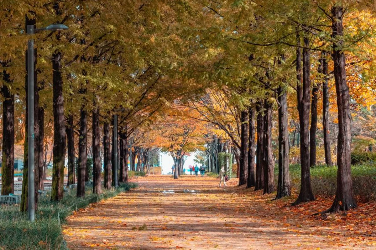 서울숲 - 한강 여행