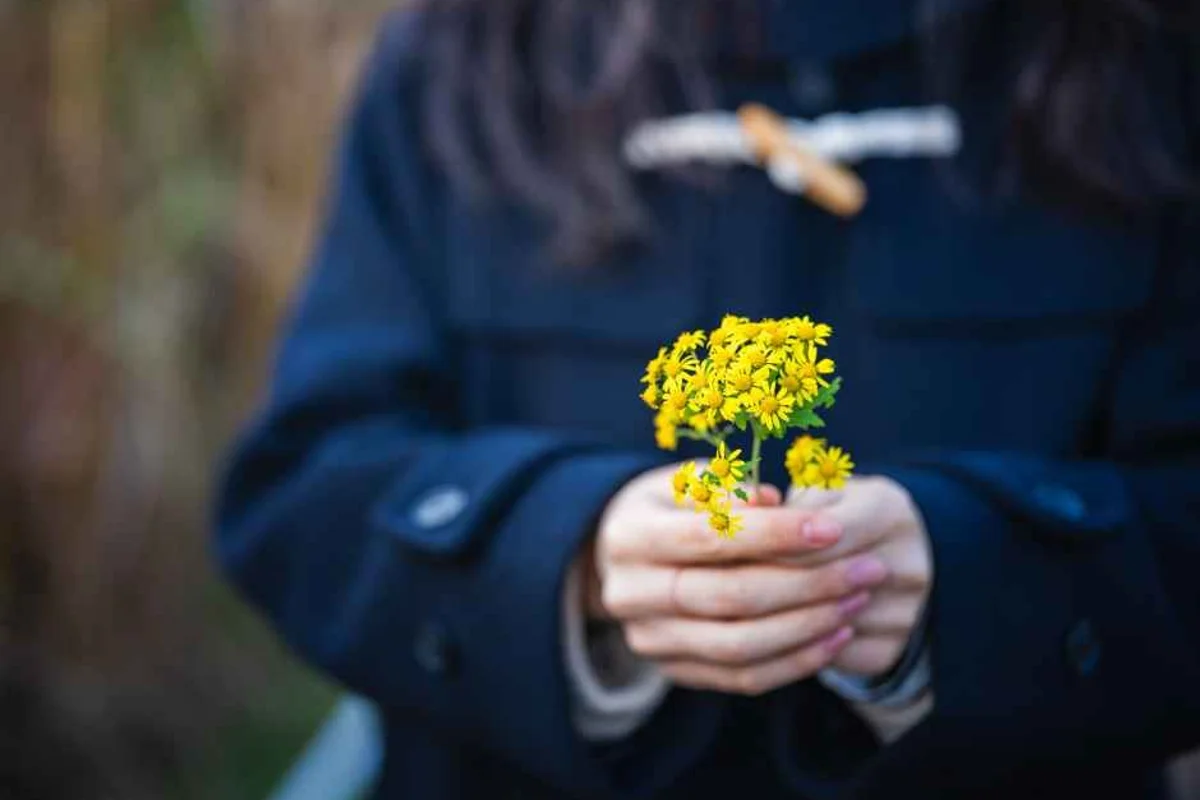 하늘공원 - 상암 여행