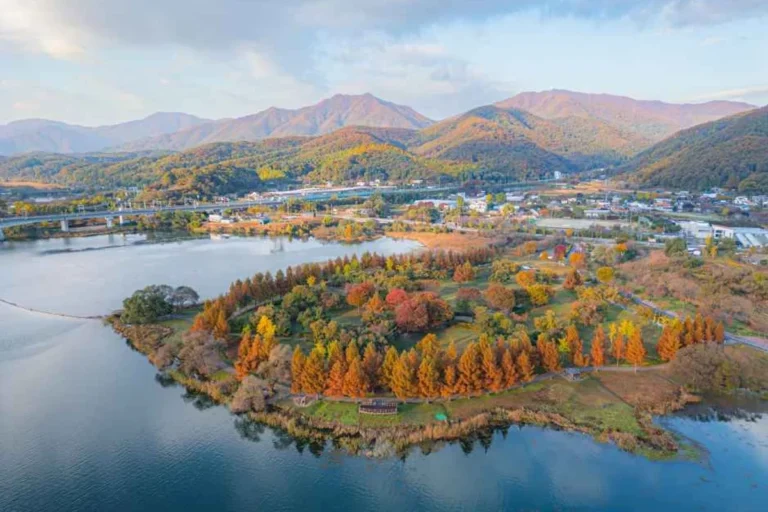 한강 게스트하우스 추천 5곳, 2026 봄날의 잊지 못할 추억을 만들다