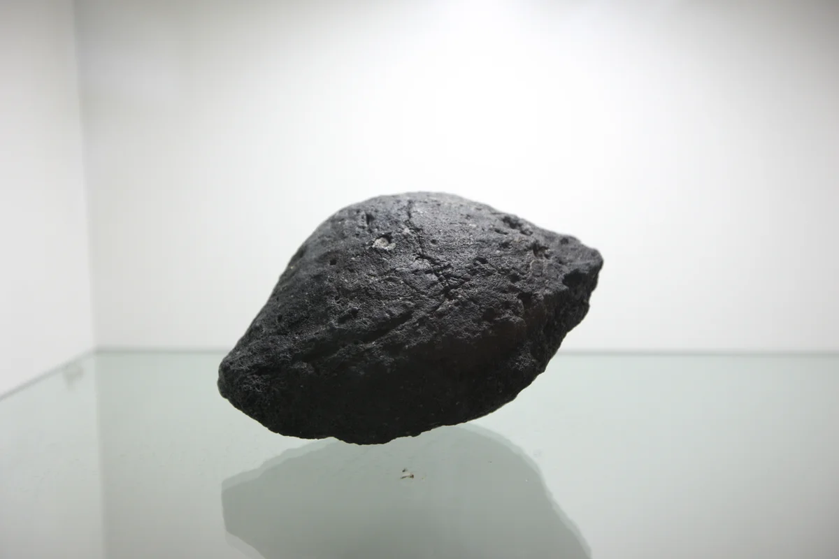 송도 센트럴파크 벚꽃길 - 송도 여행