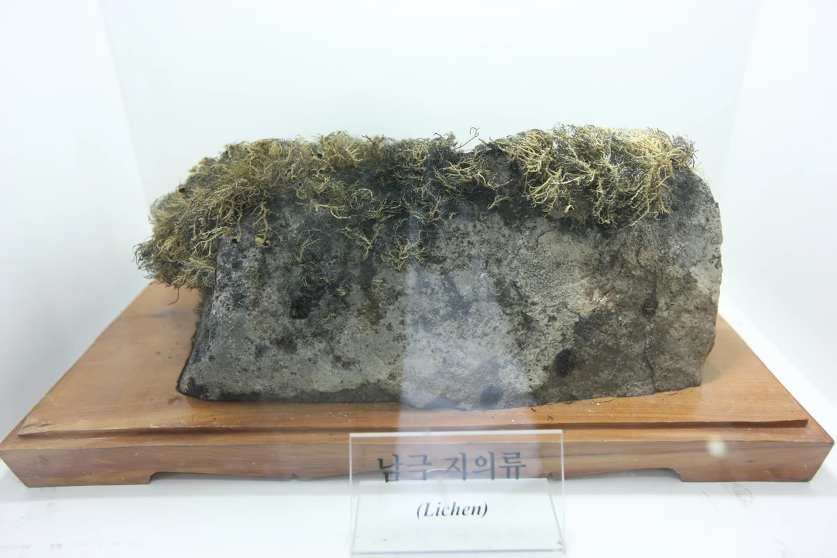 송도달빛축제공원 - 송도 여행