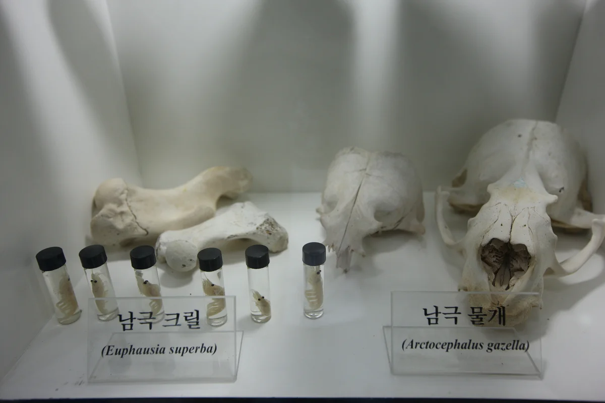 송도컨벤시아 주변 - 송도 여행