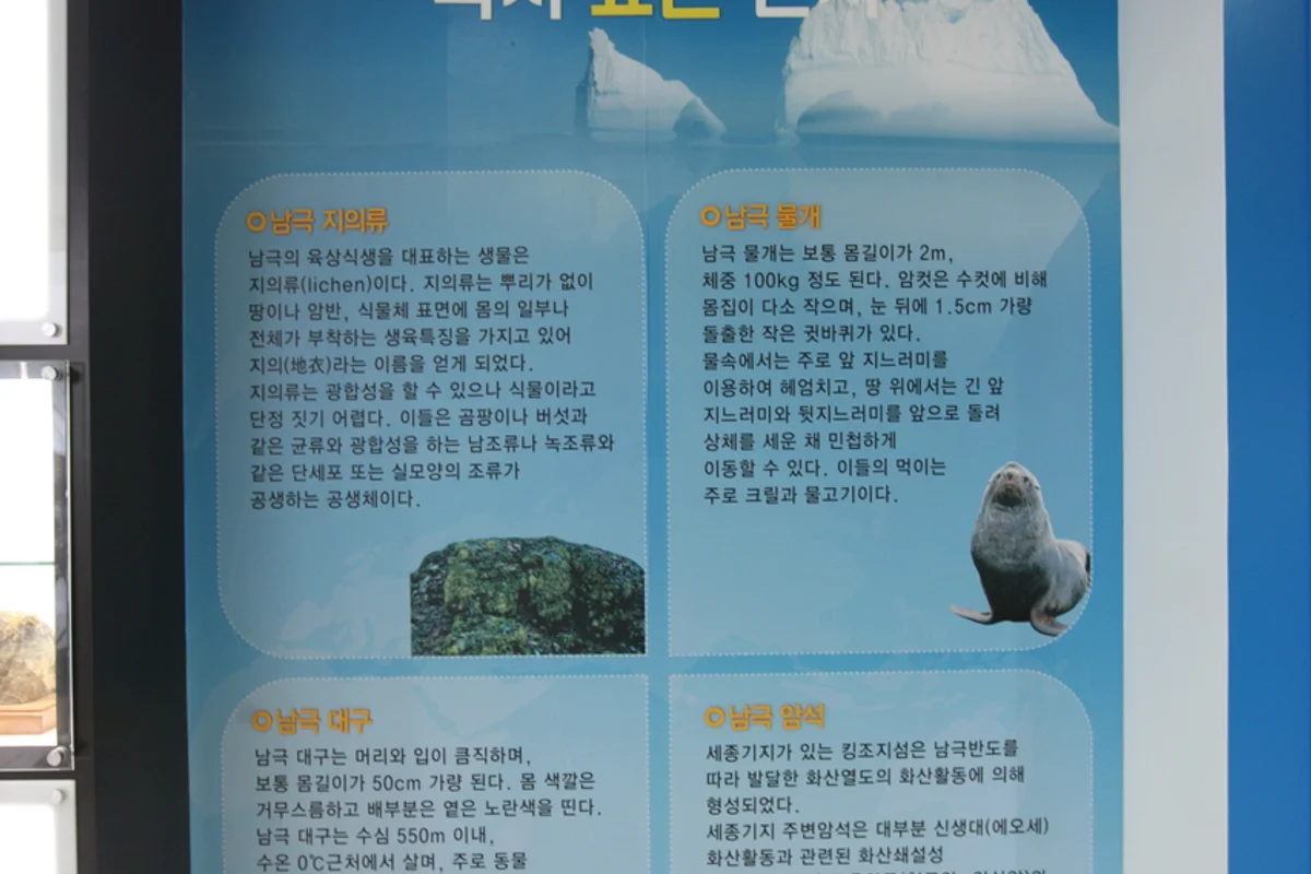 트라이보울 주변 - 송도 여행