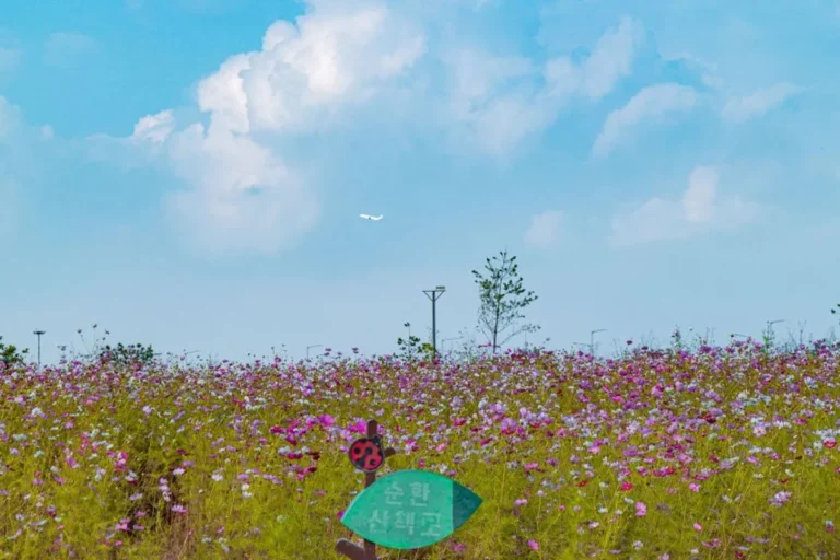 2026년 봄, 계양 커플 여행 떠날 준비되셨나요? 놓칠 수 없는 명소 5곳