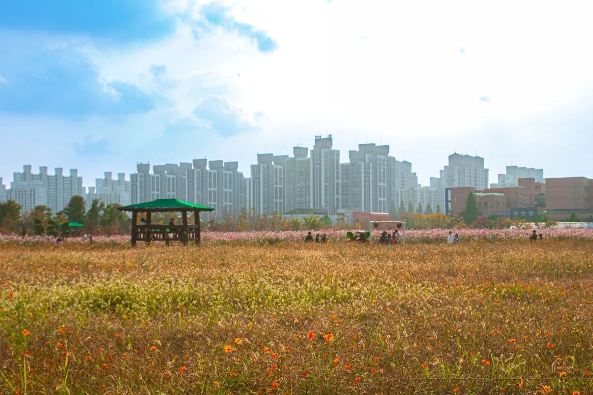 계양꽃마루 - 계양여행 여행