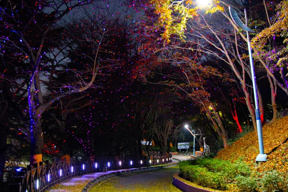 수봉공원: 미추홀구 데이트 봄날의 정석 - 미추홀구 여행