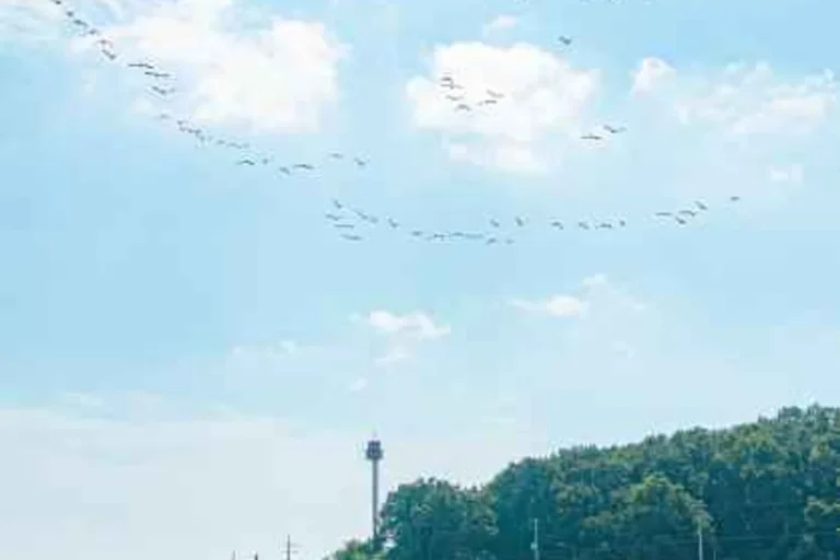 강화군 등산 어디로 갈까? 2026 봄 추천 명산 코스 5