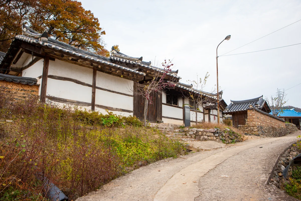 황금대추농장 - 대전여행 여행