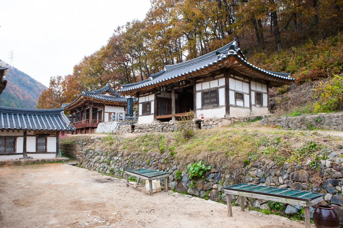 성북동숲속야영장 - 대전여행 여행