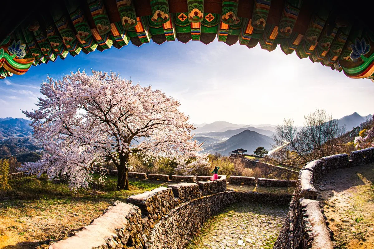 빛의 벙커 - 성산혼행 여행